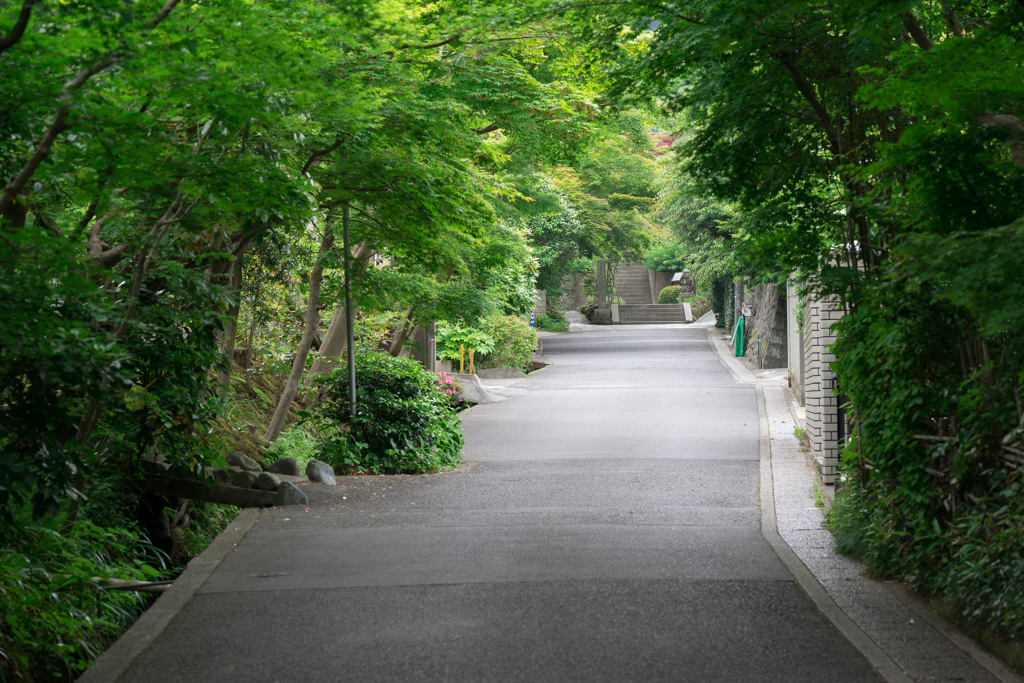 鎌倉スナップ　海蔵寺に行く道