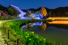 2017 GW 称名寺ライトアップ