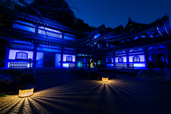 長谷寺　紅葉ライトアップ