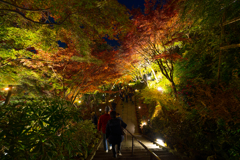 長谷寺　紅葉ライトアップ