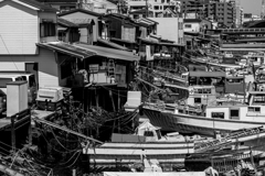 20180421　子安スナップ