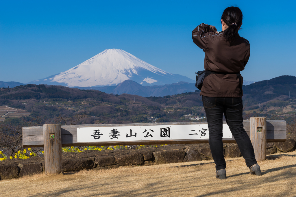 吾妻山公園からの富士山