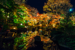 大磯城山公園紅葉ライトアップ