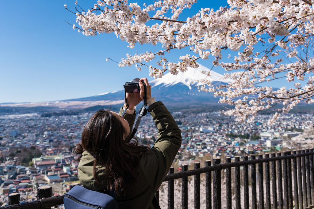 新倉山浅間公園・桜を撮る女性