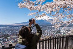 新倉山浅間公園・桜を撮る女性