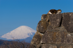吾妻山公園のチャミちゃん