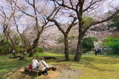 小田原の春