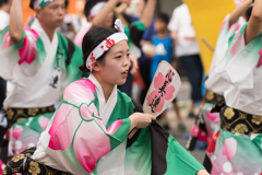 第63回 東京高円寺阿波おどり