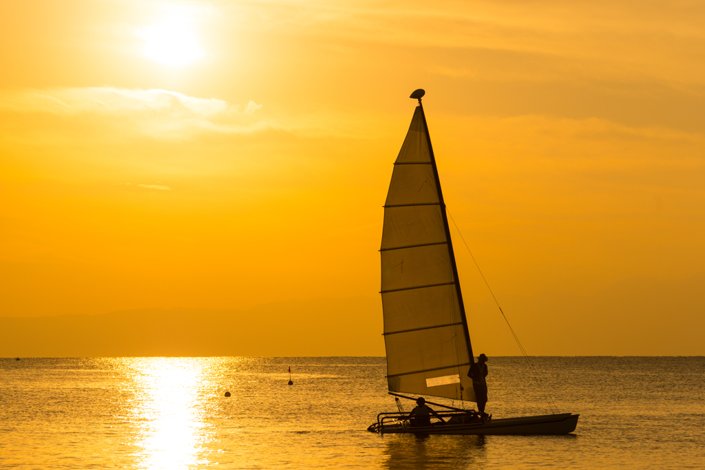 黄金色の森戸海岸
