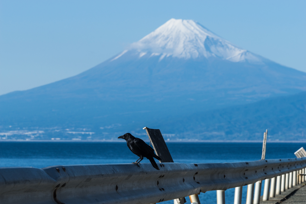 戸田村　富士山