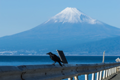 戸田村　富士山