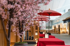 羽田空谷・国際線