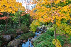 昭和記念公園