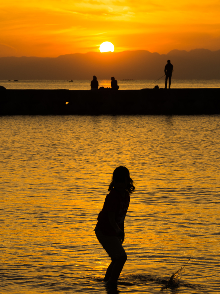 黄金色の森戸海岸