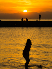 黄金色の森戸海岸