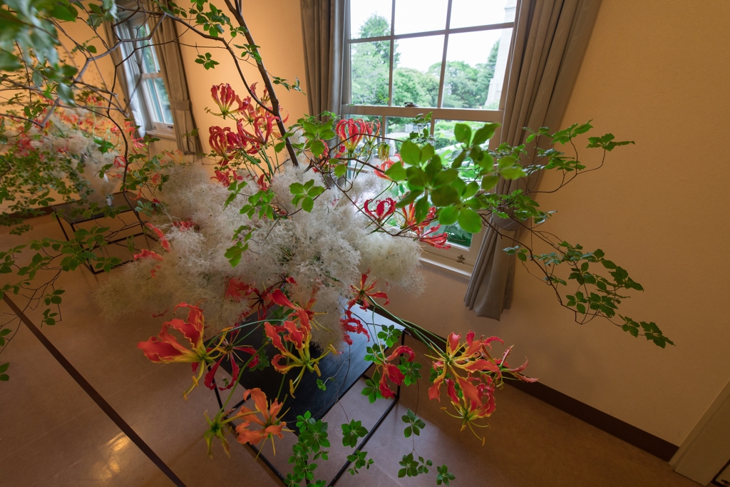 花と器のハーモニー　山手234番館