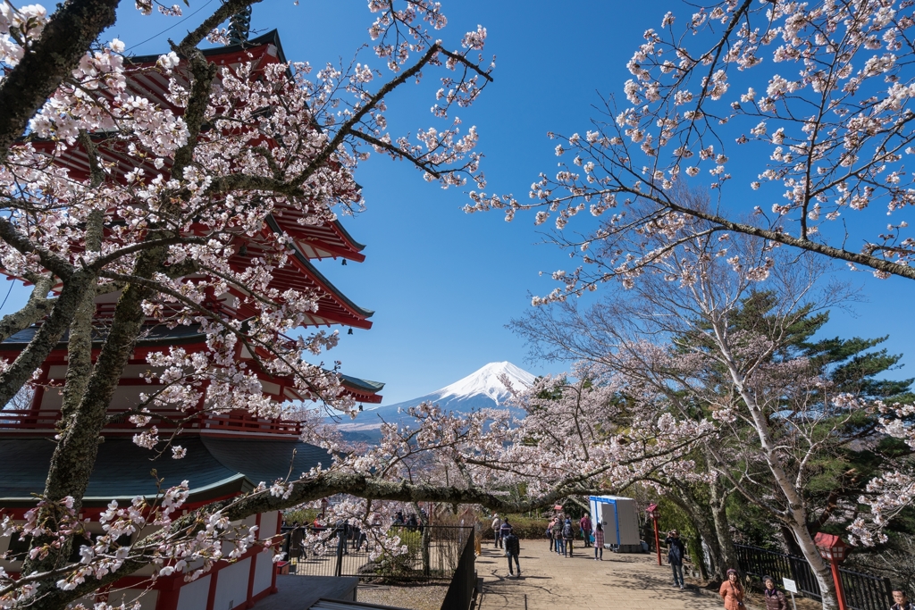 新倉山浅間公園