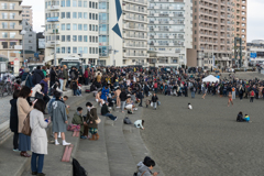 江ノ島・寒中神輿
