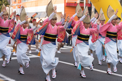 第63回 東京高円寺阿波おどり