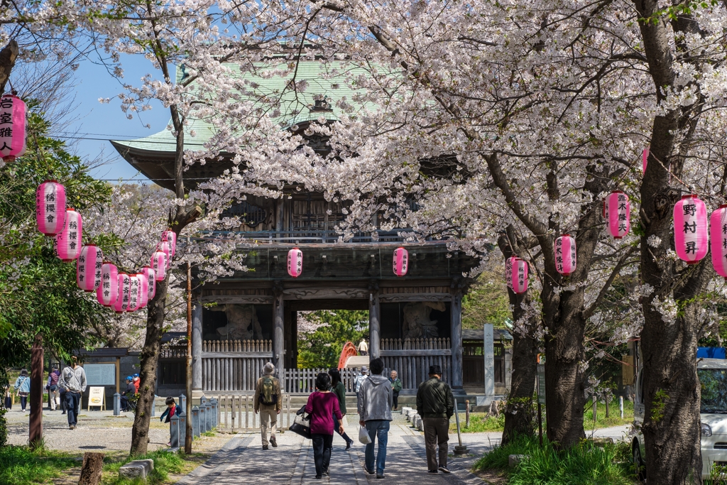 2019春の称名寺