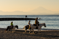 森戸海岸・馬 森戸海岸・馬