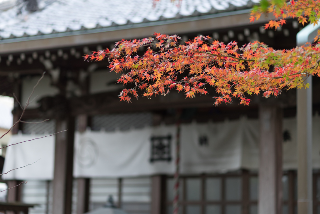 鎌倉・安国論寺