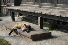 ぐうたらな一日