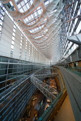 国際フォーラム