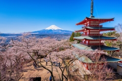 新倉山浅間公園