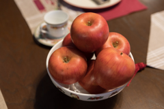 山手西洋館クリスマス装飾