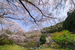 小田原の春　15-30mm