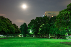 月夜の山下公園