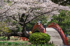 2019春の称名寺