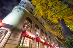 山下公園　銀杏並木