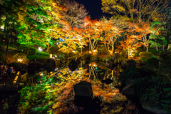 大磯城山公園紅葉ライトアップ