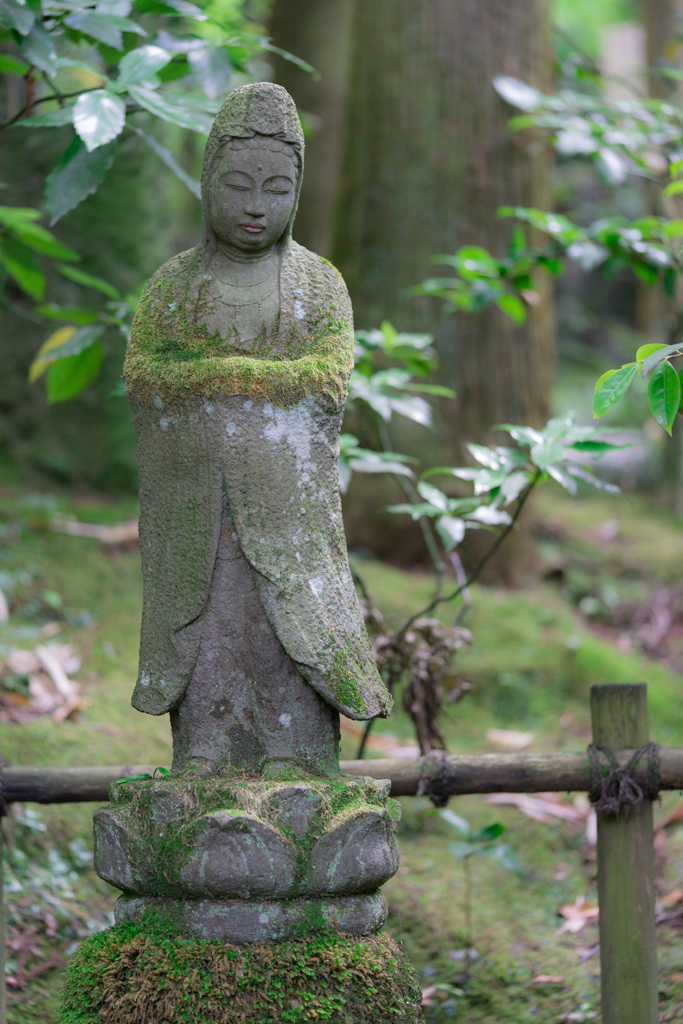 鎌倉スナップ