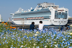 ダイヤモンド・プリンセス