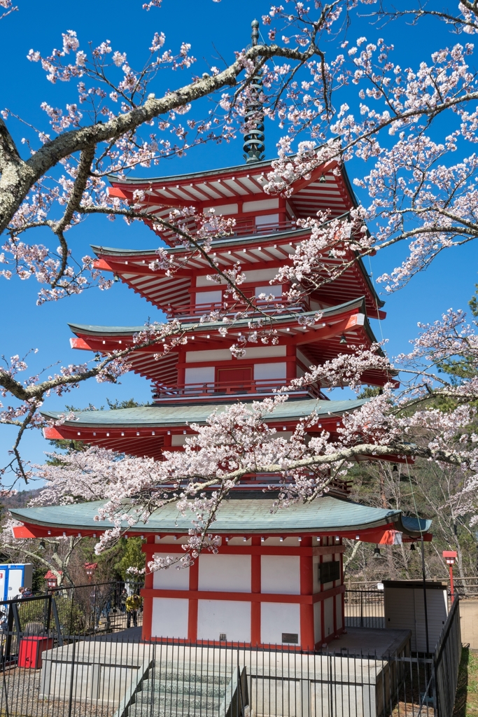 新倉山浅間公園