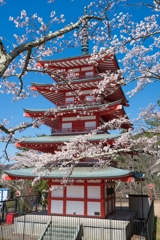 新倉山浅間公園