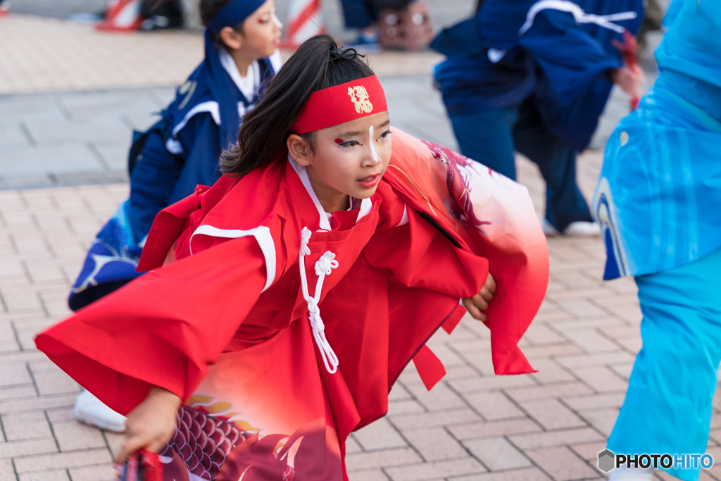 第4回　横浜よさこい祭り　赤レンガ倉庫編