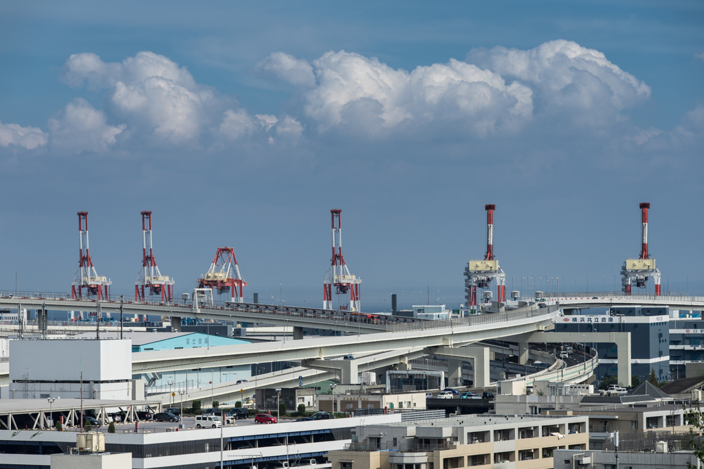 横浜・スナップ