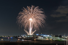 横浜ナイトフラワーズ