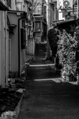 20180421　子安スナップ