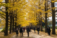 昭和記念公園