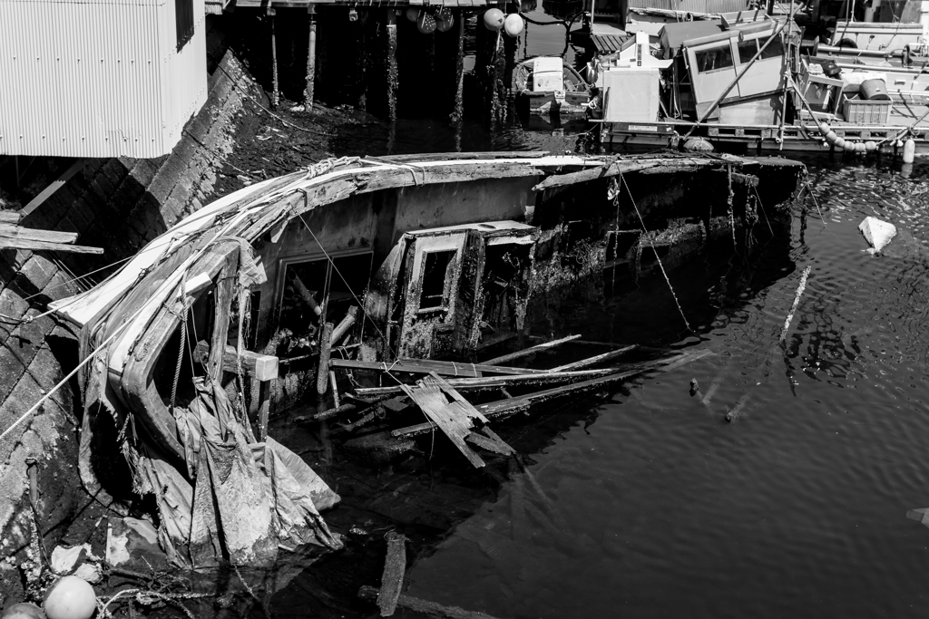 20180421　子安スナップ