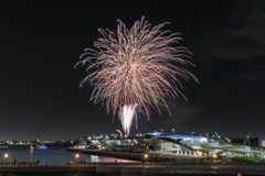 横浜ナイトフラワーズ