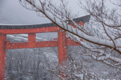 雪