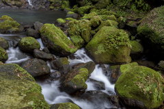 白糸の滝
