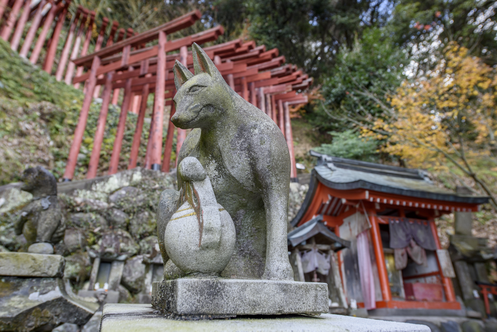 祐徳稲荷神社
