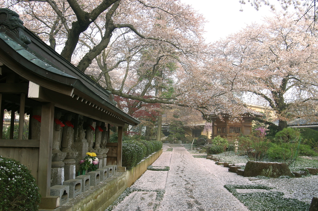 吹雪の後